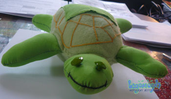 turtle